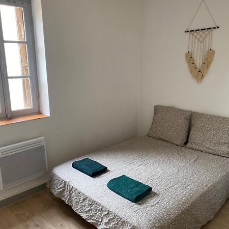 Plein Centre , Proche Du Chateau Apartment Каркасон Екстериор снимка