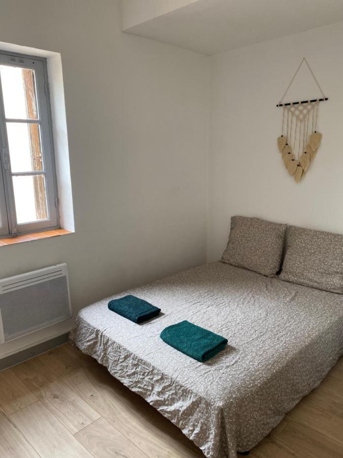 Plein Centre , Proche Du Chateau Apartment Каркасон Екстериор снимка